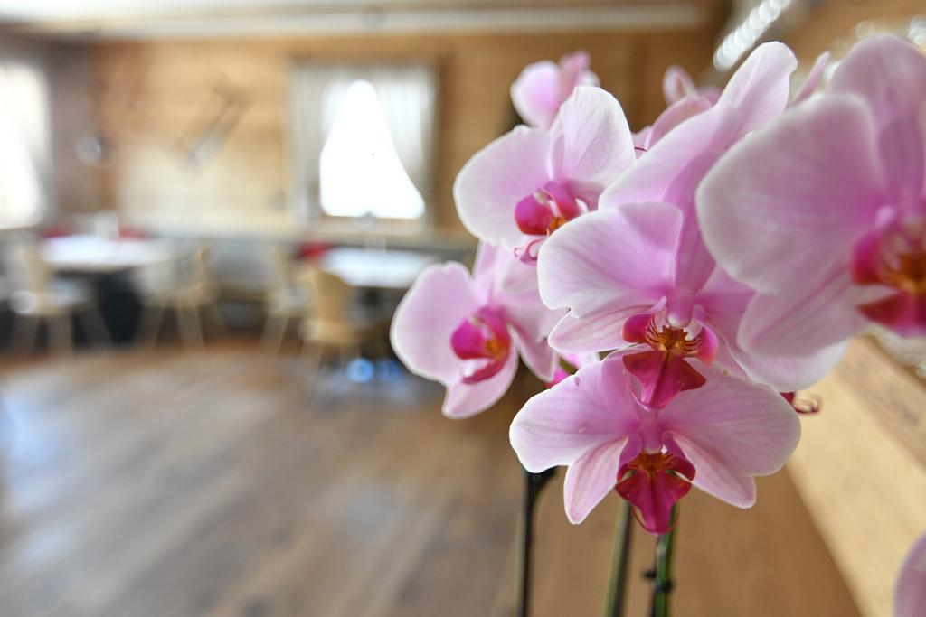 Hotel Kristall Maranza Kültér fotó